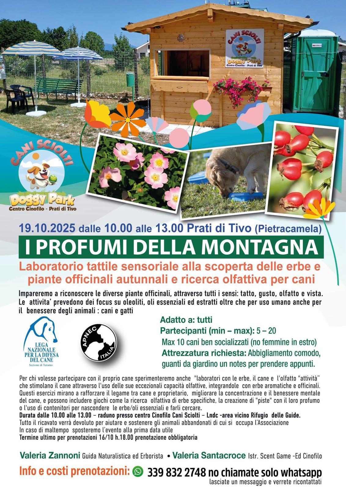 PIETRACAMELA